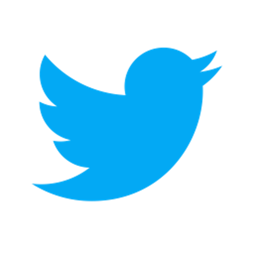 Twitter icon: Side view of bird with wing outstretched