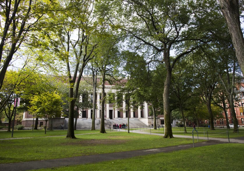 Image of a grassy lawn on Harvard University's campus.