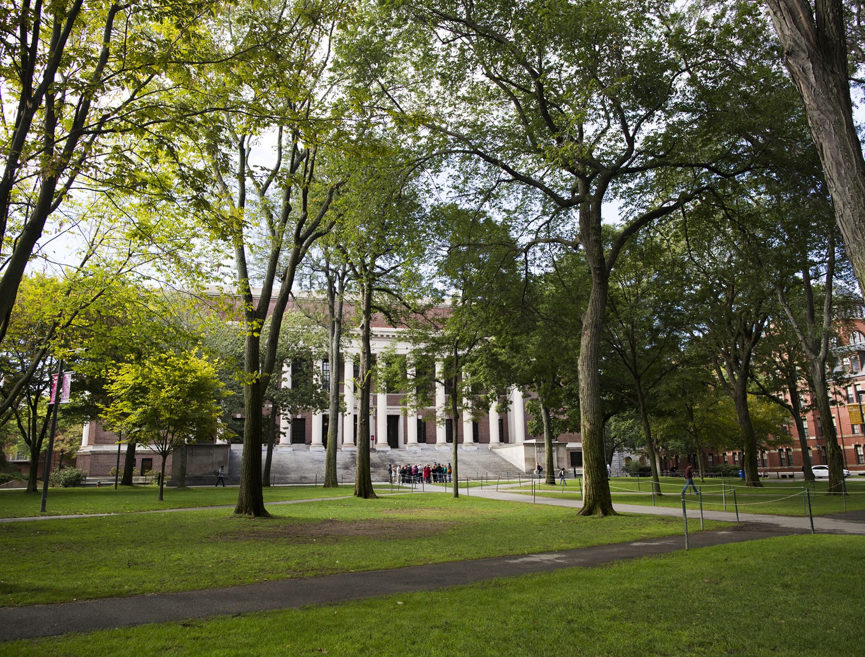 Image of a grassy lawn on Harvard University's campus.