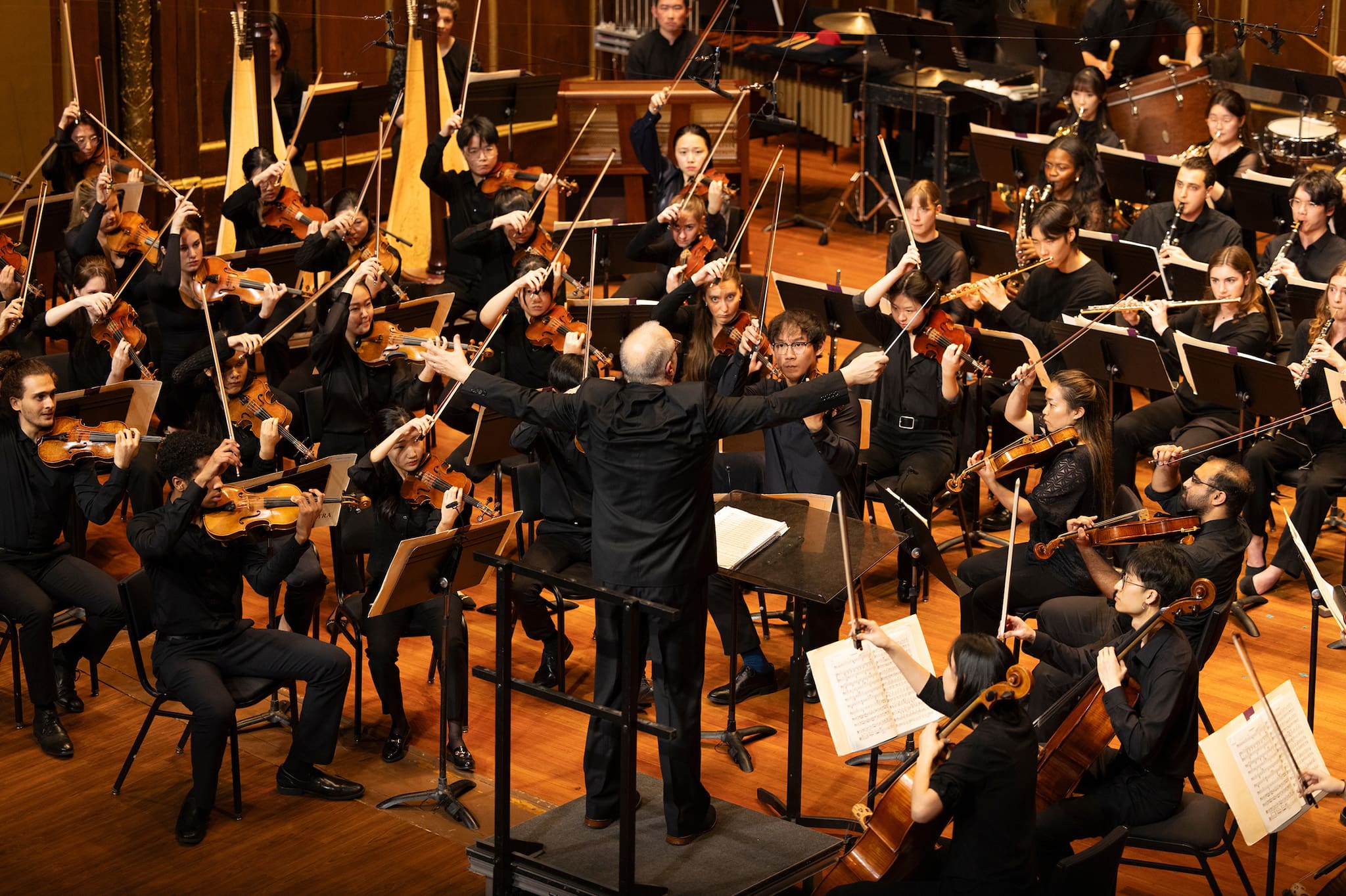 Music-Monday-Landing-Page Conductor facing an orchestra with his arms raised.