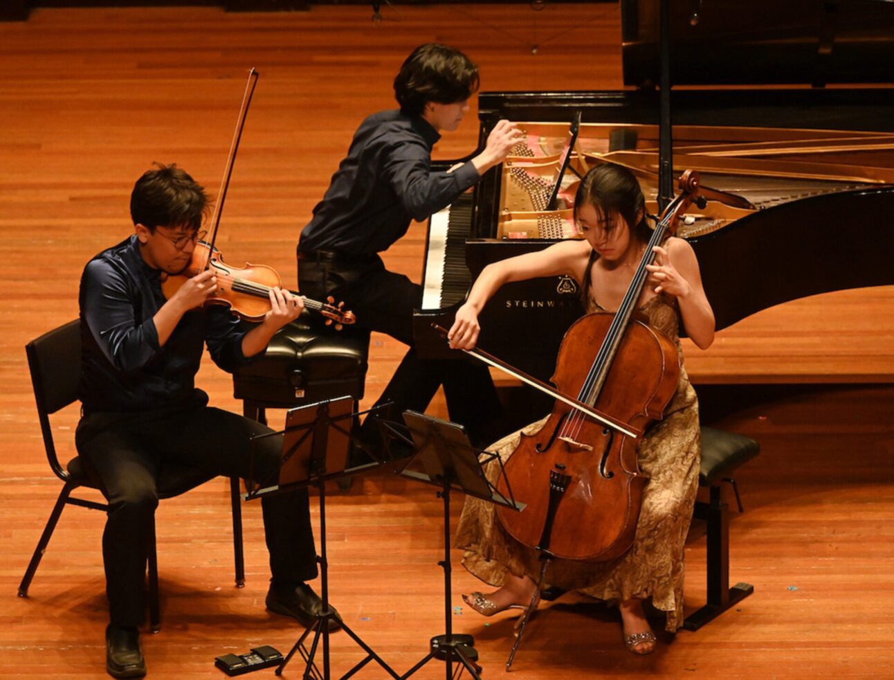 Trio Eris Reaches Finals at Naumburg Competition