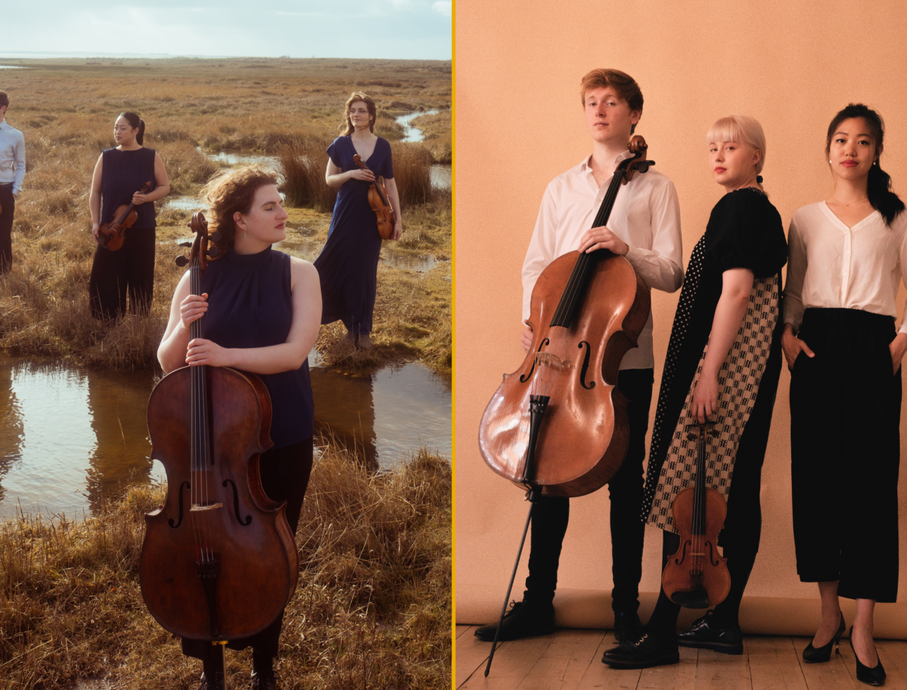 NEC Welcomes Katarina String Quartet and Paddington Trio into Professional Programs