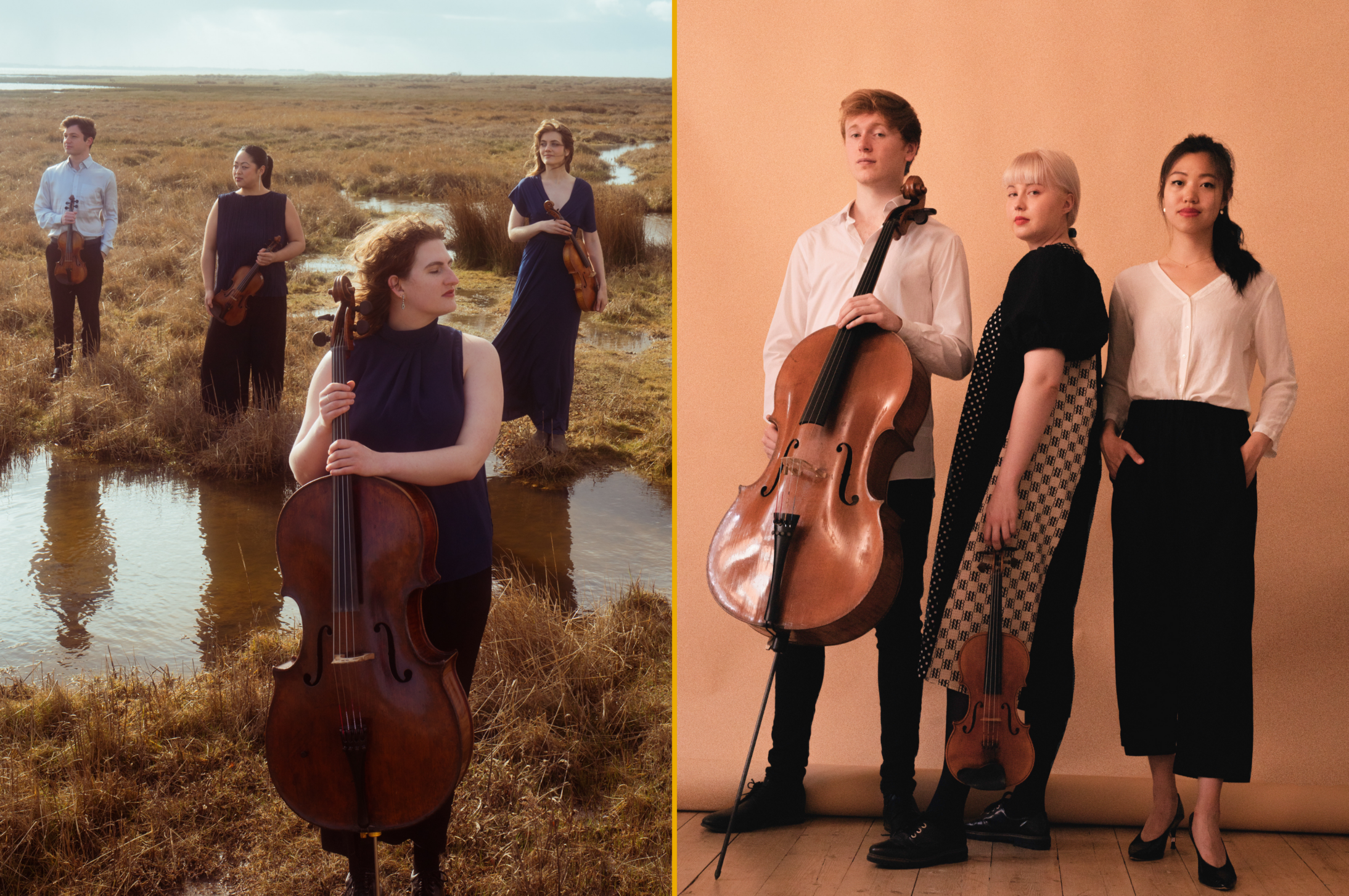 NEC Welcomes Katarina String Quartet and Paddington Trio into Professional Programs